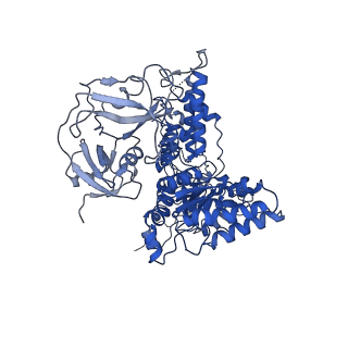 24526_7rld_D_v1-2
Cryo-EM structure of human p97-E470D mutant bound to ADP.