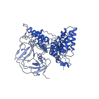 24526_7rld_E_v1-2
Cryo-EM structure of human p97-E470D mutant bound to ADP.
