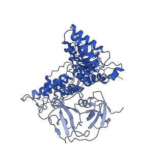 24526_7rld_F_v1-2
Cryo-EM structure of human p97-E470D mutant bound to ADP.