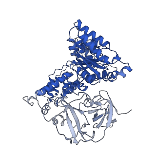 24528_7rlf_A_v1-2
Cryo-EM structure of human p97-E470D mutant bound to ATPgS.