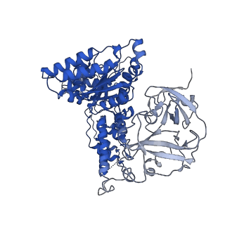24528_7rlf_B_v1-2
Cryo-EM structure of human p97-E470D mutant bound to ATPgS.