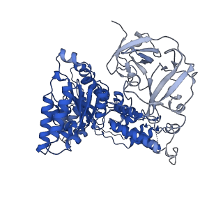 24528_7rlf_C_v1-2
Cryo-EM structure of human p97-E470D mutant bound to ATPgS.