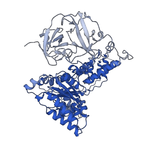 24528_7rlf_D_v1-2
Cryo-EM structure of human p97-E470D mutant bound to ATPgS.