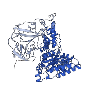 24528_7rlf_E_v1-2
Cryo-EM structure of human p97-E470D mutant bound to ATPgS.
