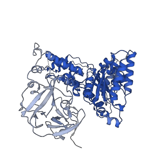 24528_7rlf_F_v1-2
Cryo-EM structure of human p97-E470D mutant bound to ATPgS.