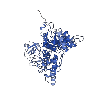 24529_7rlg_A_v1-2
Cryo-EM structure of human p97-D592N mutant bound to ADP.