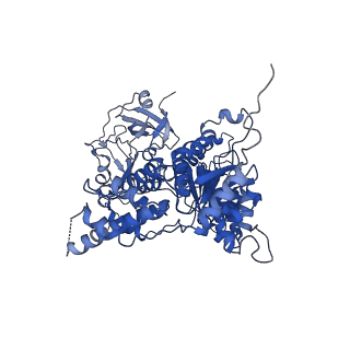 24529_7rlg_B_v1-2
Cryo-EM structure of human p97-D592N mutant bound to ADP.