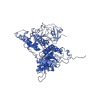 24529_7rlg_C_v1-2
Cryo-EM structure of human p97-D592N mutant bound to ADP.
