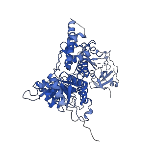 24529_7rlg_D_v1-2
Cryo-EM structure of human p97-D592N mutant bound to ADP.