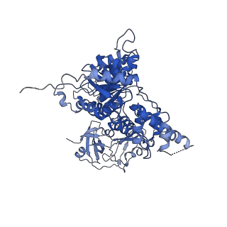 24529_7rlg_F_v1-2
Cryo-EM structure of human p97-D592N mutant bound to ADP.
