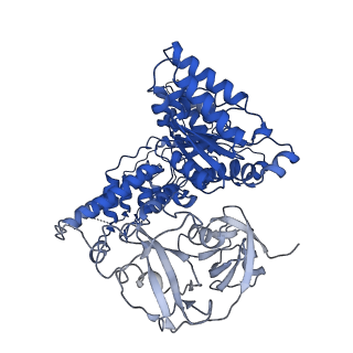 24530_7rlh_A_v1-2
Cryo-EM structure of human p97-D592N mutant bound to ATPgS.