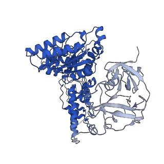24530_7rlh_B_v1-2
Cryo-EM structure of human p97-D592N mutant bound to ATPgS.