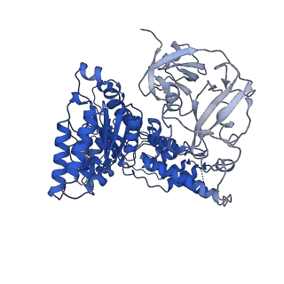 24530_7rlh_C_v1-2
Cryo-EM structure of human p97-D592N mutant bound to ATPgS.