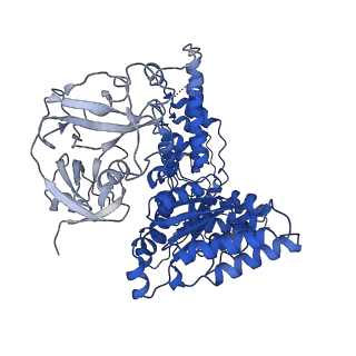 24530_7rlh_E_v1-2
Cryo-EM structure of human p97-D592N mutant bound to ATPgS.