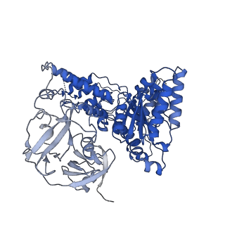 24530_7rlh_F_v1-2
Cryo-EM structure of human p97-D592N mutant bound to ATPgS.