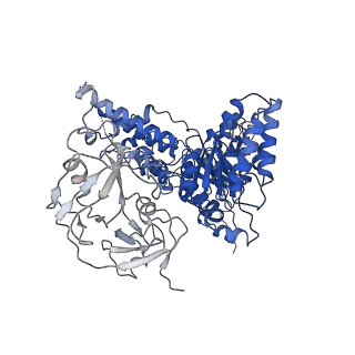 24531_7rli_A_v1-2
Cryo-EM structure of human p97 bound to CB-5083 and ADP.