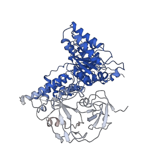 24531_7rli_B_v1-2
Cryo-EM structure of human p97 bound to CB-5083 and ADP.