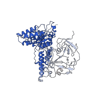 24531_7rli_C_v1-2
Cryo-EM structure of human p97 bound to CB-5083 and ADP.