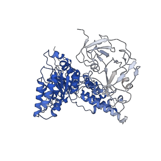 24531_7rli_D_v1-2
Cryo-EM structure of human p97 bound to CB-5083 and ADP.