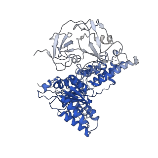 24531_7rli_E_v1-2
Cryo-EM structure of human p97 bound to CB-5083 and ADP.