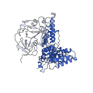 24531_7rli_F_v1-2
Cryo-EM structure of human p97 bound to CB-5083 and ADP.