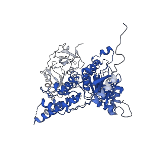 24531_7rli_G_v1-2
Cryo-EM structure of human p97 bound to CB-5083 and ADP.