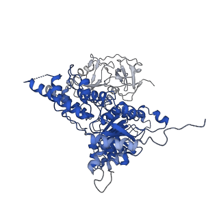 24531_7rli_H_v1-2
Cryo-EM structure of human p97 bound to CB-5083 and ADP.