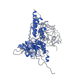 24531_7rli_I_v1-2
Cryo-EM structure of human p97 bound to CB-5083 and ADP.