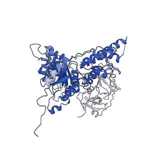 24531_7rli_J_v1-2
Cryo-EM structure of human p97 bound to CB-5083 and ADP.