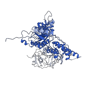 24531_7rli_K_v1-2
Cryo-EM structure of human p97 bound to CB-5083 and ADP.