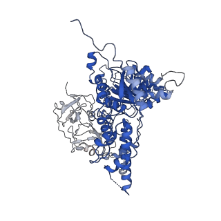 24531_7rli_L_v1-2
Cryo-EM structure of human p97 bound to CB-5083 and ADP.