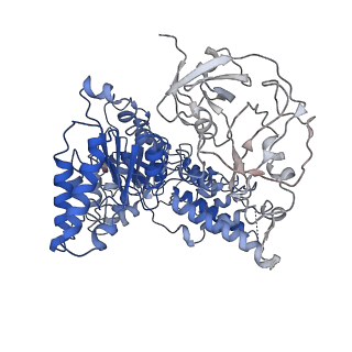 24532_7rlj_A_v1-2
Cryo-EM structure of human p97 bound to CB-5083 and ATPgS.
