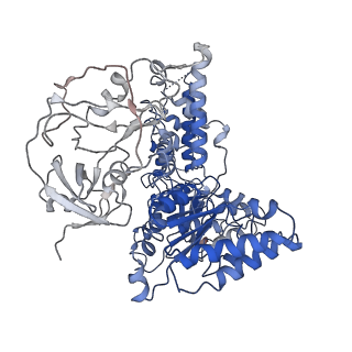 24532_7rlj_C_v1-2
Cryo-EM structure of human p97 bound to CB-5083 and ATPgS.