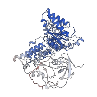 24532_7rlj_E_v1-2
Cryo-EM structure of human p97 bound to CB-5083 and ATPgS.