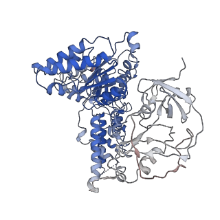 24532_7rlj_F_v1-2
Cryo-EM structure of human p97 bound to CB-5083 and ATPgS.