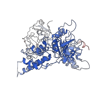 24532_7rlj_G_v1-2
Cryo-EM structure of human p97 bound to CB-5083 and ATPgS.