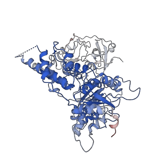 24532_7rlj_H_v1-2
Cryo-EM structure of human p97 bound to CB-5083 and ATPgS.