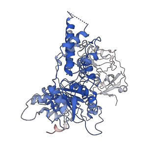 24532_7rlj_I_v1-2
Cryo-EM structure of human p97 bound to CB-5083 and ATPgS.