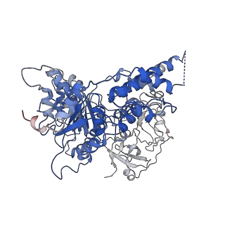 24532_7rlj_J_v1-2
Cryo-EM structure of human p97 bound to CB-5083 and ATPgS.