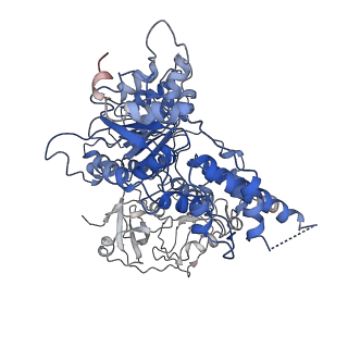 24532_7rlj_K_v1-2
Cryo-EM structure of human p97 bound to CB-5083 and ATPgS.