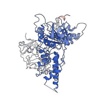 24532_7rlj_L_v1-2
Cryo-EM structure of human p97 bound to CB-5083 and ATPgS.