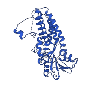 24535_7rlo_C_v1-0
Structure of the human eukaryotic translation initiation factor 2B (eIF2B) in complex with a viral protein NSs