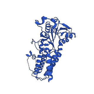 24535_7rlo_D_v1-0
Structure of the human eukaryotic translation initiation factor 2B (eIF2B) in complex with a viral protein NSs