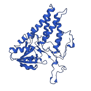 24535_7rlo_E_v1-0
Structure of the human eukaryotic translation initiation factor 2B (eIF2B) in complex with a viral protein NSs