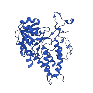 24535_7rlo_F_v1-0
Structure of the human eukaryotic translation initiation factor 2B (eIF2B) in complex with a viral protein NSs