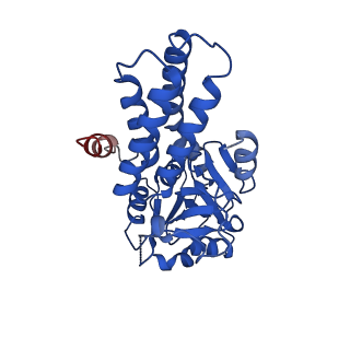 24535_7rlo_G_v1-0
Structure of the human eukaryotic translation initiation factor 2B (eIF2B) in complex with a viral protein NSs