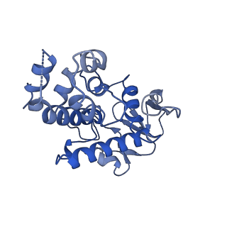 24535_7rlo_K_v1-0
Structure of the human eukaryotic translation initiation factor 2B (eIF2B) in complex with a viral protein NSs