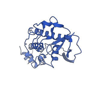 24535_7rlo_L_v1-0
Structure of the human eukaryotic translation initiation factor 2B (eIF2B) in complex with a viral protein NSs