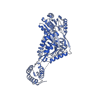 24540_7rlt_A_v1-1
Structure of ligand-free ALDH1L1 (10-formyltetrahydrofolate dehydrogenase)