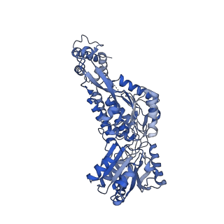 24540_7rlt_B_v1-1
Structure of ligand-free ALDH1L1 (10-formyltetrahydrofolate dehydrogenase)